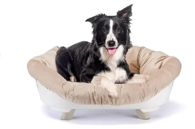 Productafbeelding van Ferplast hondenbed en kattenbed met kussen, wasbaar hondenbed, verhoogd hondenbed