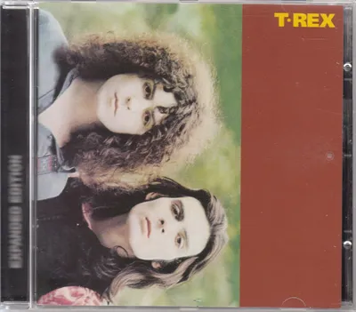 Image de T. Rex