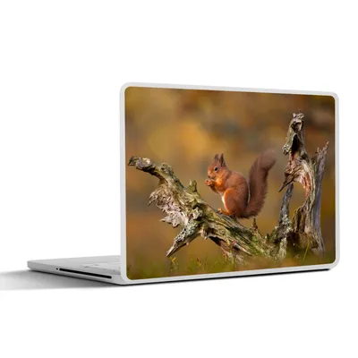 Produktbild von MuchoWow® Laptop Aufkleber Sticker Cover Eichhörnchen - Baumstamm - Wald 25x18 cm - Laptop-Deko