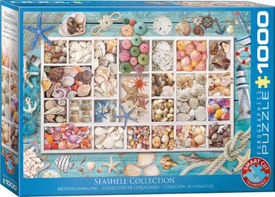 Produktbild von Maritime Muschelsammlung - 1000 Teile Puzzle - Format 68x48 cm