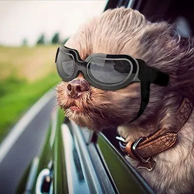Produktbild von mall Hundebrille, UV-Schutz, verstellbar, transparent, für Hunde, leicht zu tragen, winddicht, für Motorräder und Welpen (transparent schwarz)