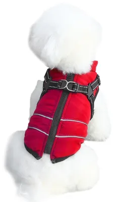 Image de Manteau d'hiver pour chiens, imperméable et réfléchissant