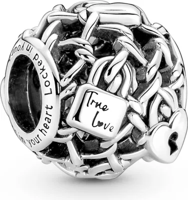 A close-up studio shot of a silver charm.
