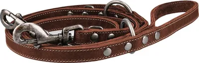 Produktbild von Spotted! Pro Leder Trainingsleine braun, Maße: 250 cm / 20 mm