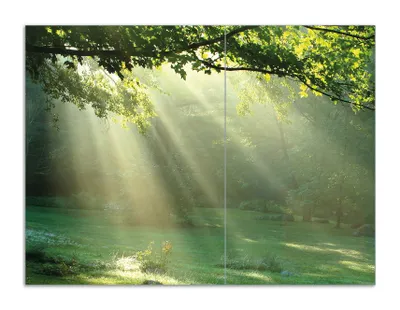 Produktbild von Wallario Herdabdeckplatte aus Glas, Größe 70 x 52 cm 2-teilig, Motiv Sonnenstrahlen im Wald