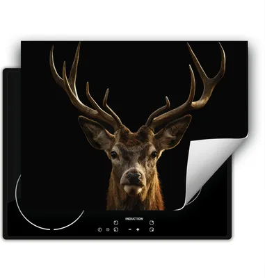 Produktbild von DarHaus Herdabdeckplatte 70x52 cm Anti Rutsch Matte Aufrollbar, schwarz - Hirsh