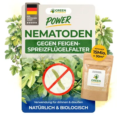 Produktbild von Green Guardia Nematoden gegen Feigenspreizflügelfalter – 15 Mio - Effektiv Feigenspreizflügelfalter bekämpfen, Mittel gegen Feigenspreizflügelfalter