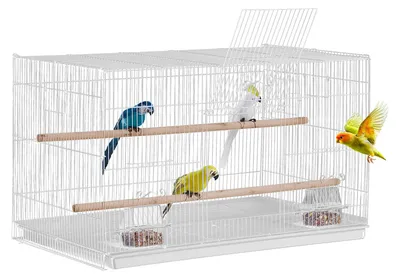 Immagine prodotto di Gabbia per uccelli VEVOR, gabbia in metallo da 760x460x455 mm per piccoli pappagalli, canarini, cacatua, inseparabili, fringuelli, pappagallini, conures