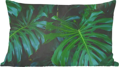 Produktbild von MuchoWow® Zierkissen Sofakissen Wohnzimmer Dekokissen 60x40 cm Monstera - Blätter - Tropisch - Dschungel - Kopfkissen - Polster mit Foto