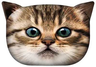 Image de Dekokissen „Katze Gapcio” Bertoni 30×45 cm – Samt, Katzenkopf-Druck, antiallergische Füllung, Reißverschluss