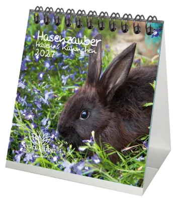 Produktbild von Hasenzauber Hasen und Kaninchen Tischkalender 10x10cm für 2027 - Seelenzauber