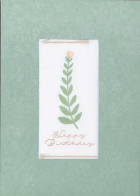 Produktbild von Räder Naturwunderkarte Happy Birthday