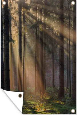 Produktbild von MuchoWow® 40x60 cm Outdoor-Poster Gartendeko Sichtschutz Garten Poster für den Garten  Bäume - Wald - Sonne - Pflanzen
