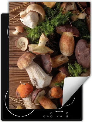 Produktbild von DarHaus Herdabdeckplatte Einteilig Küche Abdeckplatte für Glaskeramikkochfeld Abdeckung Induktionskochfeld Aufrollbare Matte 40x52 cm, Röhrlinge - Holz