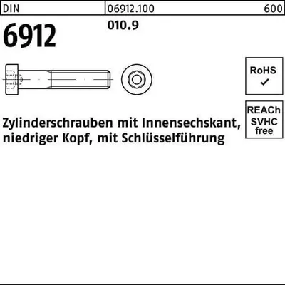 Produktbild von Reyher Zylinderschrauben DIN 6912 010.9 M 6 x 30 069121000060030 (500 Stück)