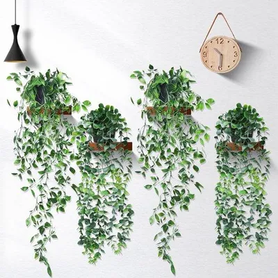 Zdjęcie produktu dla Dekoracja Kunstklimop, czarna, 75 cm, zestaw 4 sztuk