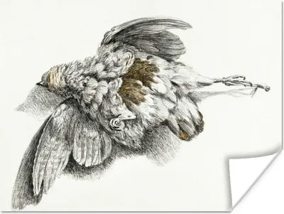 Produktbild von MuchoWow® Poster Toter Vogel - Gemälde von Jean Bernard 160x120 cm - Foto Plakat