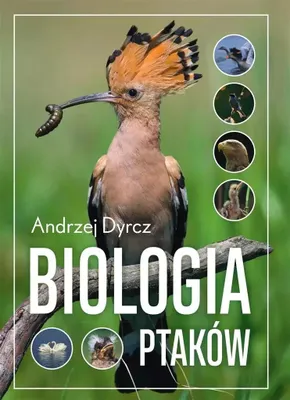 Produktbild von Biologia ptaków