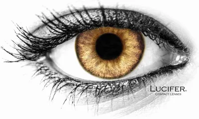Zdjęcie produktu dla Kolorowe niedioptyczne soczewki kontaktowe Lucifer® Jolie Brown