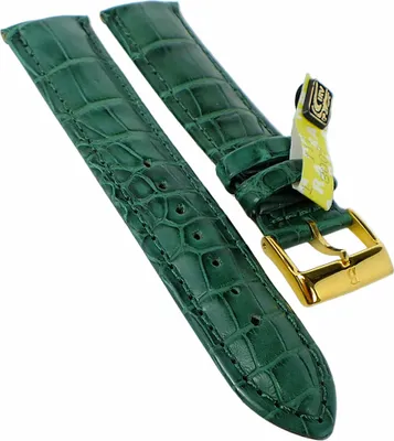 Produktbild von BARINGTON LOUISIANA Uhrenarmband | echt Krokoleder | grün 35353, Stegbreite:20mm, Schließe:Gelbgolden