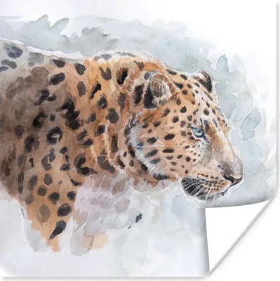 Produktbild von MuchoWow® Poster Panther - Aquarell - Tiere 50x50 cm - Wohnzimmerdekoration