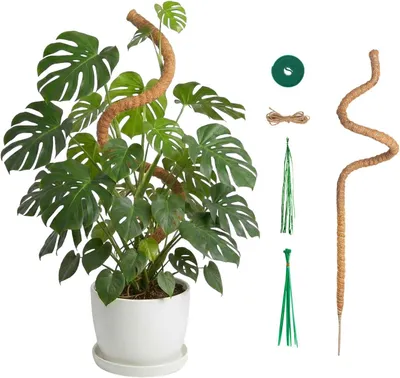 Imagen del producto de Klimhilfe: fibra de coco, 120 cm, flexible, para plantas trepadoras