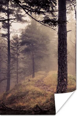 Produktbild von MuchoWow® Poster Nebel - Herbstdekoration - Natur - Wald 40x60 cm - Plakate für die Wand - Poster Babyzimmer