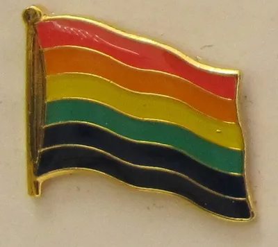 Produktbild von Pin Anstecker Flagge Fahne Regenbogen