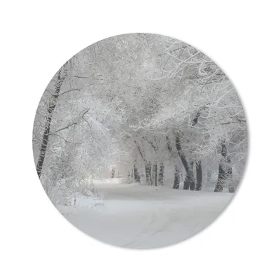 Produktbild von MuchoWow® Mauspad Mousepad Bäume - Schnee - Winter 20x20 cm - Mousepads - Maus Mat - Pad - Mausunterlage - Schreibtischmatte