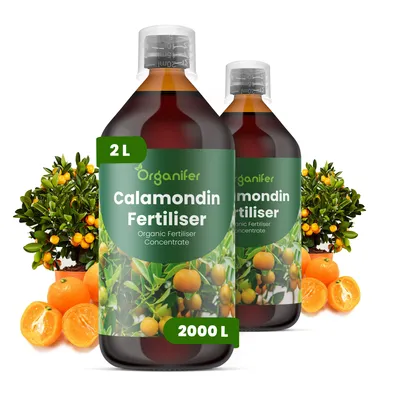 Obrázok produktu pre Calamondin, tekuté hnojivo, 2x 1 liter – vzorec NPK 2-1-8 – pre citrusové rastliny – podporuje bohaté kvitnutie a tvorbu plodov – posilňuje korene a vitalitu – organické
