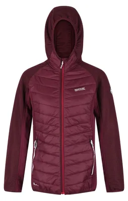 Produktbild von Regatta Hybrid Softshelljacke Damen Andreson VI, Farbe:Ice Blue, Größe:46
