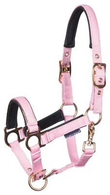 Immagine prodotto di Cavezze in metallo Harry's Horse Rosa Mini Foal Rosa Mini Foal