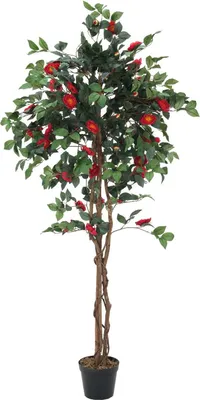 Produktbild von EUROPALMS Kamelienbaum rot mit Topf, Kunstpflanze, 180cm