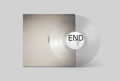 Obrázek produktu pro Qasim Naqvi: Endling (Limited Edition) (Clear Vinyl)