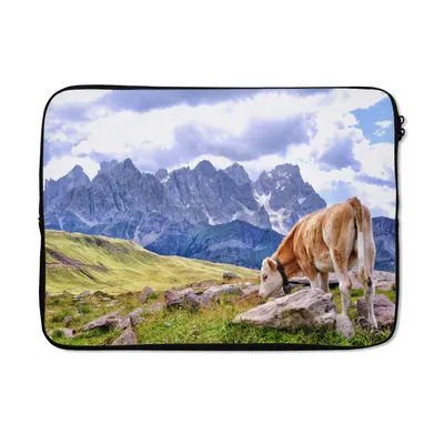 Produktbild von MuchoWow® Laptop Hülle 14 ZollKuh - Stein - Berg Laptoptasche - Laptoptasche - Stoßsicher - Schutzhaube