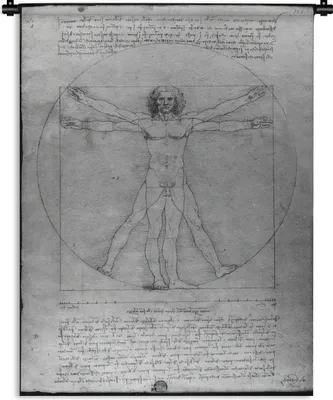 Produktbild von MuchoWow® Wandteppich Wandbehang Der vitruvianische Mensch - Leonardo da Vinci 60x80 cm Tapisserie Dekoration Wandtuch - Decke - Wandtücher - Wohne