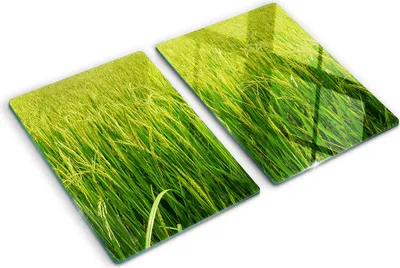 Produktbild von Tulup Glas Herdabdeckplatte - 2x40x52 cm - Glaskeramikkochfeld-Abdeckung Spritzschutz Glasabdeckplatte Kochplattenabdeckung und Schneidebrett - Zweiteilig - Blumen & Pflanzen - Reisfeld - Grün