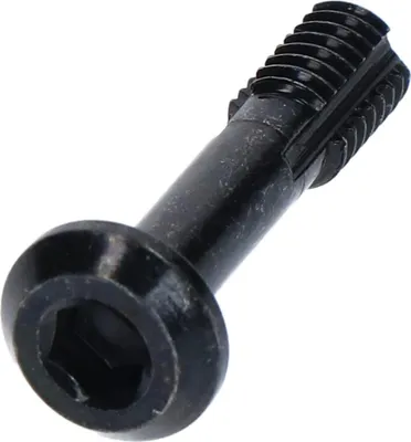 Image de SHIMANO Vis de conduite de frein BR-M8120 - Y2RV06000, env. 7 g