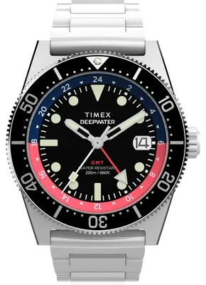Obrázok produktu pre Strieborné hodinky Timex TW2W95300