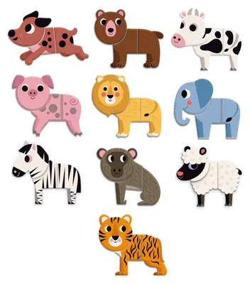 Image de RAPPA Vilac Aimants en bois Animaux drôles