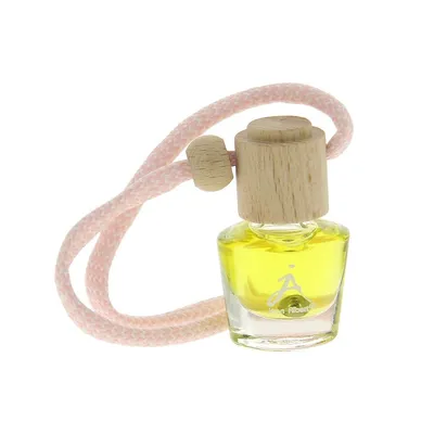 Produktbild von Lufterfrischer Duftdose Air Nature mit erfrischendem Tropical Duft 4.5ml in Blisterpackung
