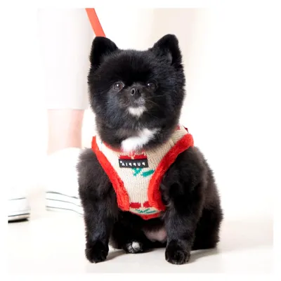 Produktbild von Hundegeschirr für kleine und mittelgroße Hunde - Cheryl Harness A - verstellbar und komfortabel