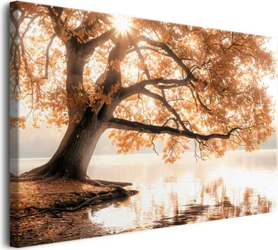 Obrázek produktu pro Obraz na plátně hnědý podzimní strom 80x120cm