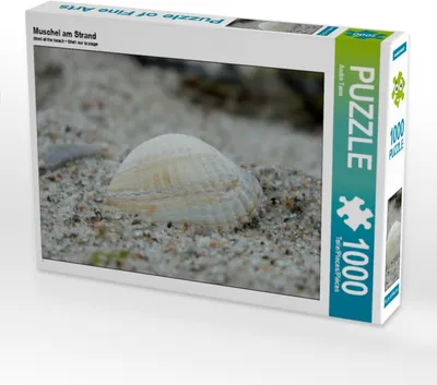 Produktbild von Calvendo Muschel am Strand 1000 Teile Puzzle quer 640x480mm, Tams André; 7334154