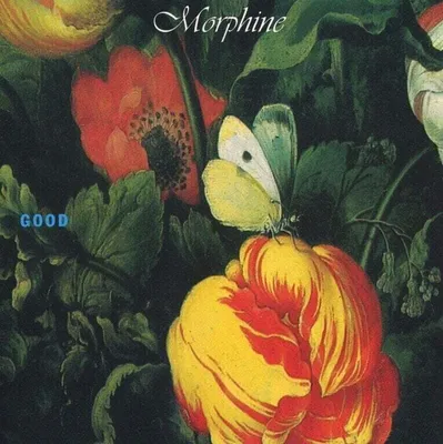 Produktbild von Morphine - Good (180 g) (Reissue) (LP)