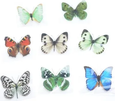 Produktbild von Dekorationsschmetterling mit Magnet für Kühlschrank und andere Metallflächen, ca. 7 x 6,5 cm