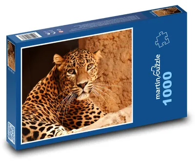 Obrázek produktu pro Puzzle 1000 Leopard - velká kočka, zvíře - martinpuzzle