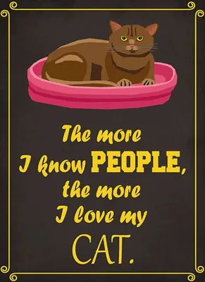 Produktbild von vianmo Holzschild 40x30 cm Katze i love my Cat