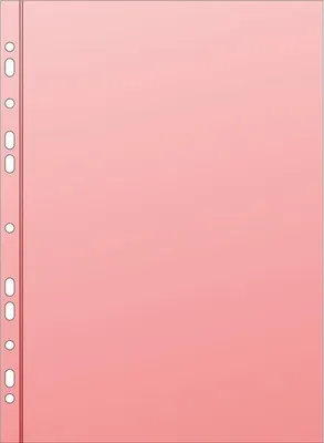 Immagine prodotto di Buste Euro colorate - A4, lucide, rosse, 50 mic, 25 pz