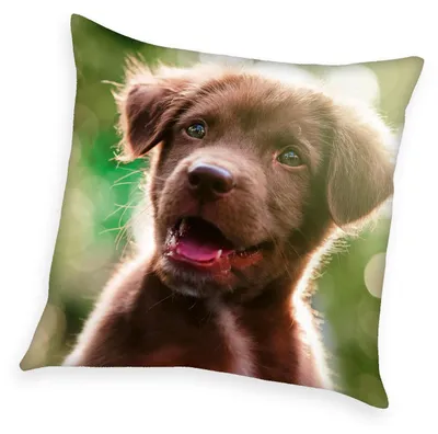 Dekokissen Puppy, 40x40 cm, Polyester, waschbar